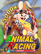 แทงบอล กี่คู่ดี ต้องรู้ก่อนเดิมพัน